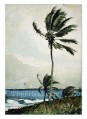 Palmera Realismo pintor marino Winslow Homer